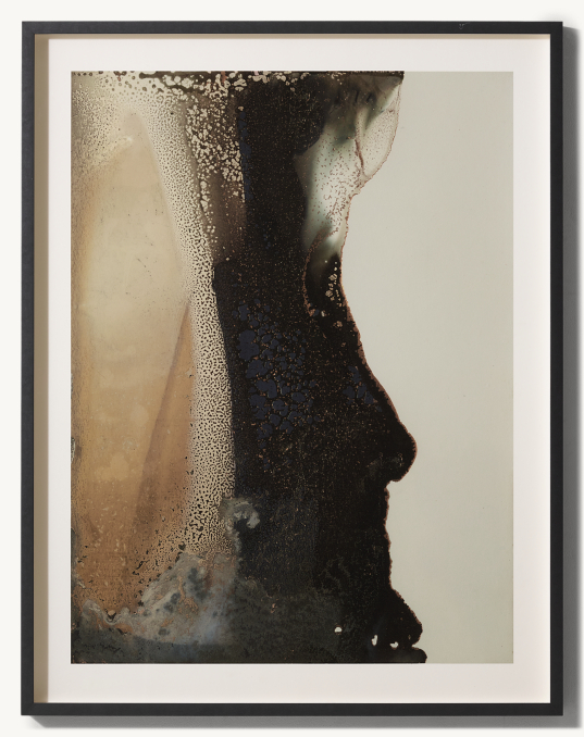 Gintare Bandinskaite: Desert Canyon II for General Public