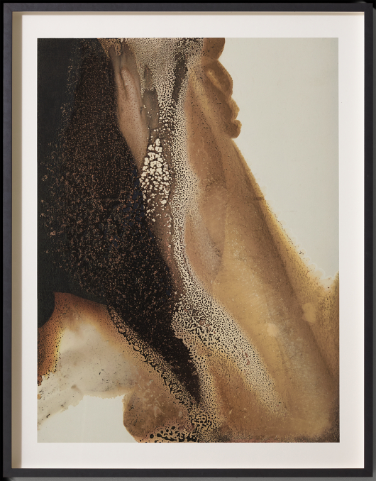 Gintare Bandinskaite: Desert Canyon III for General Public