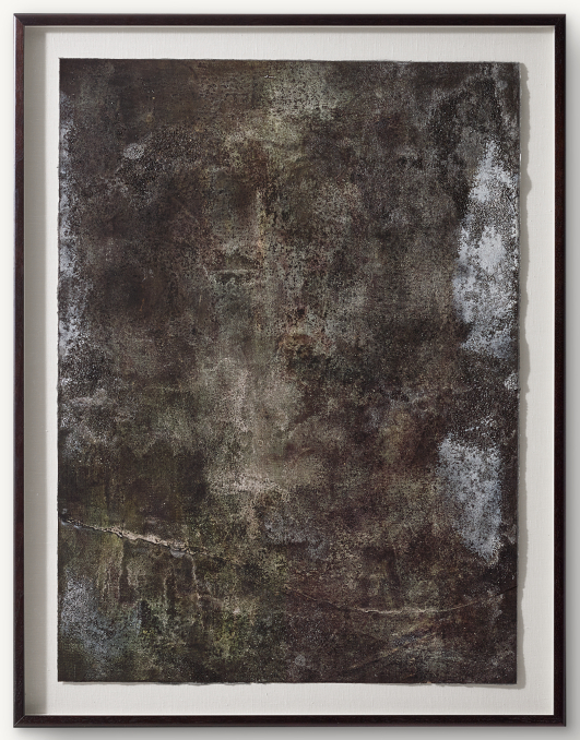 Virginia Castillo: Kombu