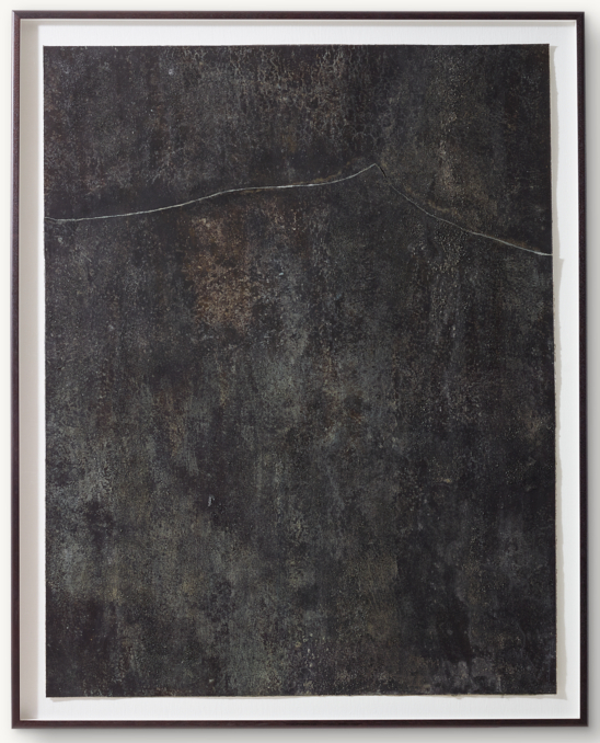 Virginia Castillo: Nori 