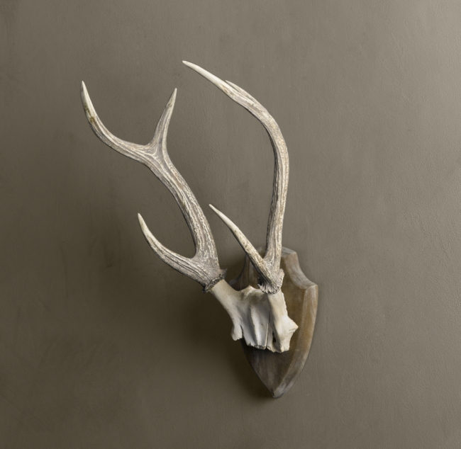 Deer Antlers In Cast Resin