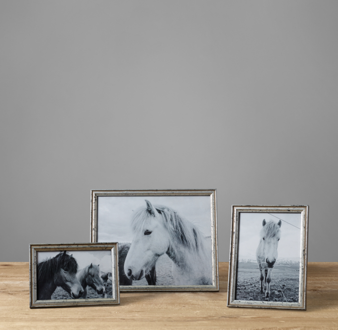 Gilt Tabletop Frames Silver