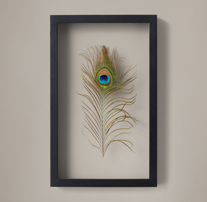 Framed Feather Peacock
