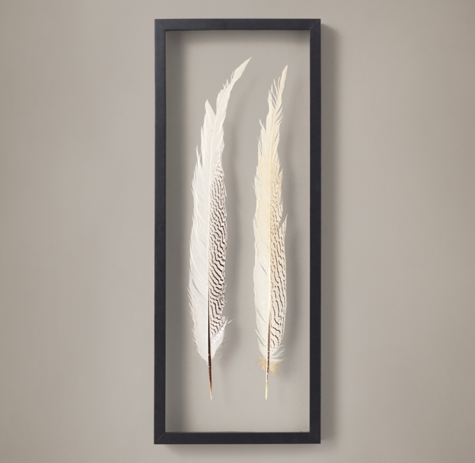 Framed Feather - Silver Pheasant Pair