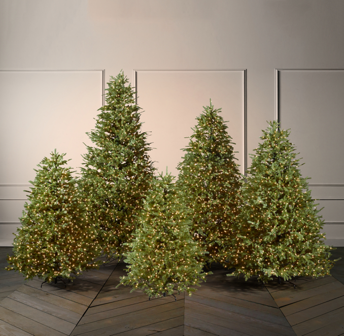 Faux Noble Fir Tree With Illuminate Technology Incandescent Bulbs