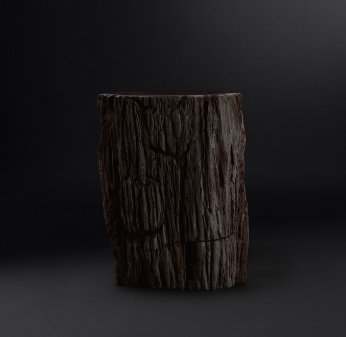 Petrified Wood Stump Dark Side Table