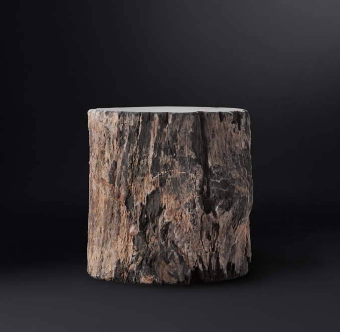 Petrified Wood Stump Dark Side Table