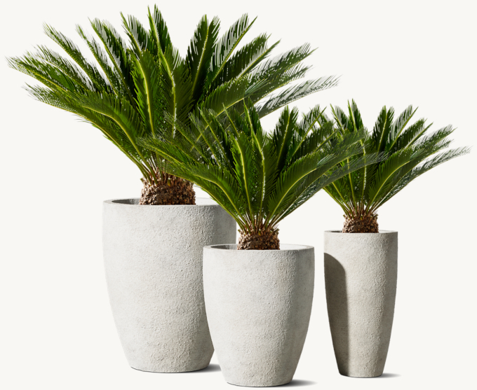 Corso Planter Collection | RH