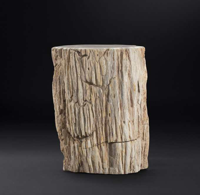 Petrified Wood Stump Mixed Side Table