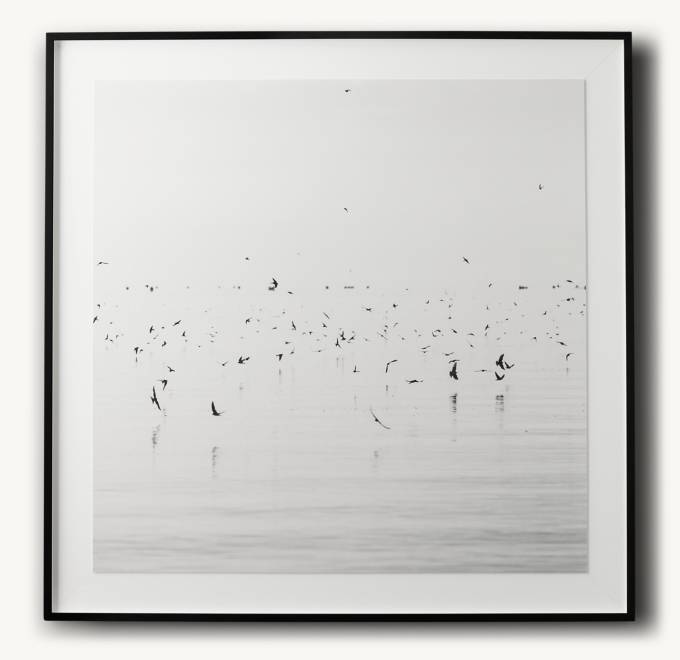 Nathan Dehart: Uganda Birds 2