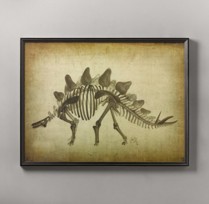 Stegosaurus: Dinosaur online Skeletal Art