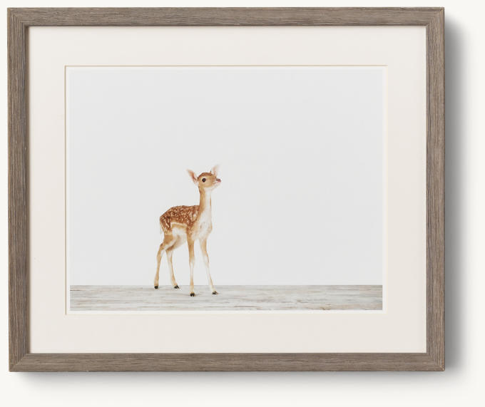 Baby Animal Portrait - Deer