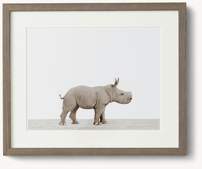 Baby Animal Portrait - Rhino