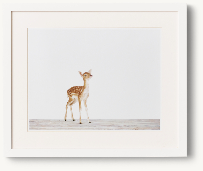 Baby Animal Portrait - Deer