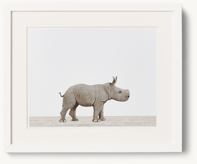 Baby Animal Portrait - Rhino