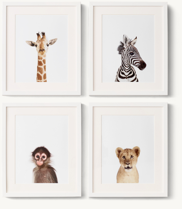 Front view of Baby Animal Close-Up Portraits 