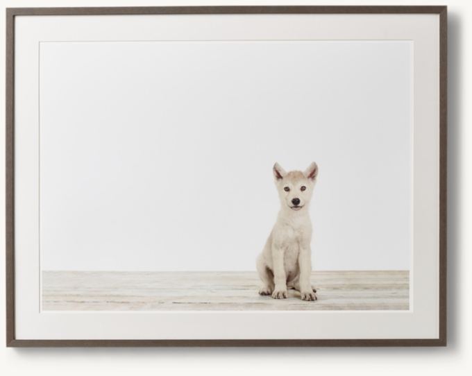 Baby Animal Large Portrait - Wolf