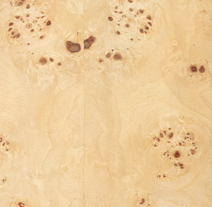 Overhead view of Bardot Burl Wood Swatch 