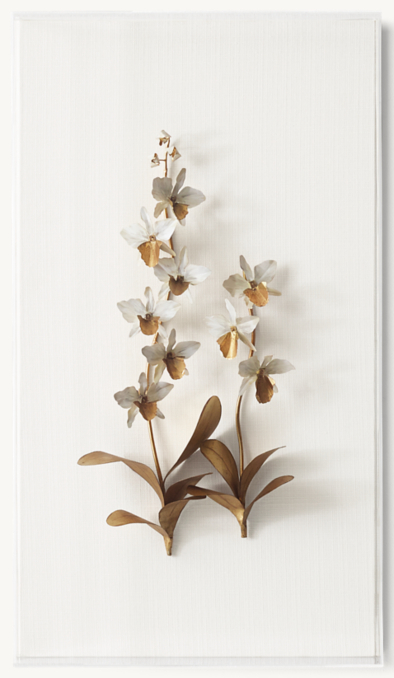 Gilded Flower Art by Tommy Mitchell - Cattleya Orchid | RH